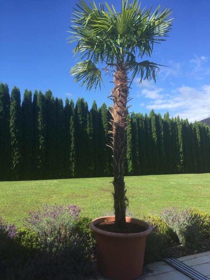 VIII Panorama-Ferienwohnung Petzenblick Smihel nad Pliberkom Eksteriør bilde