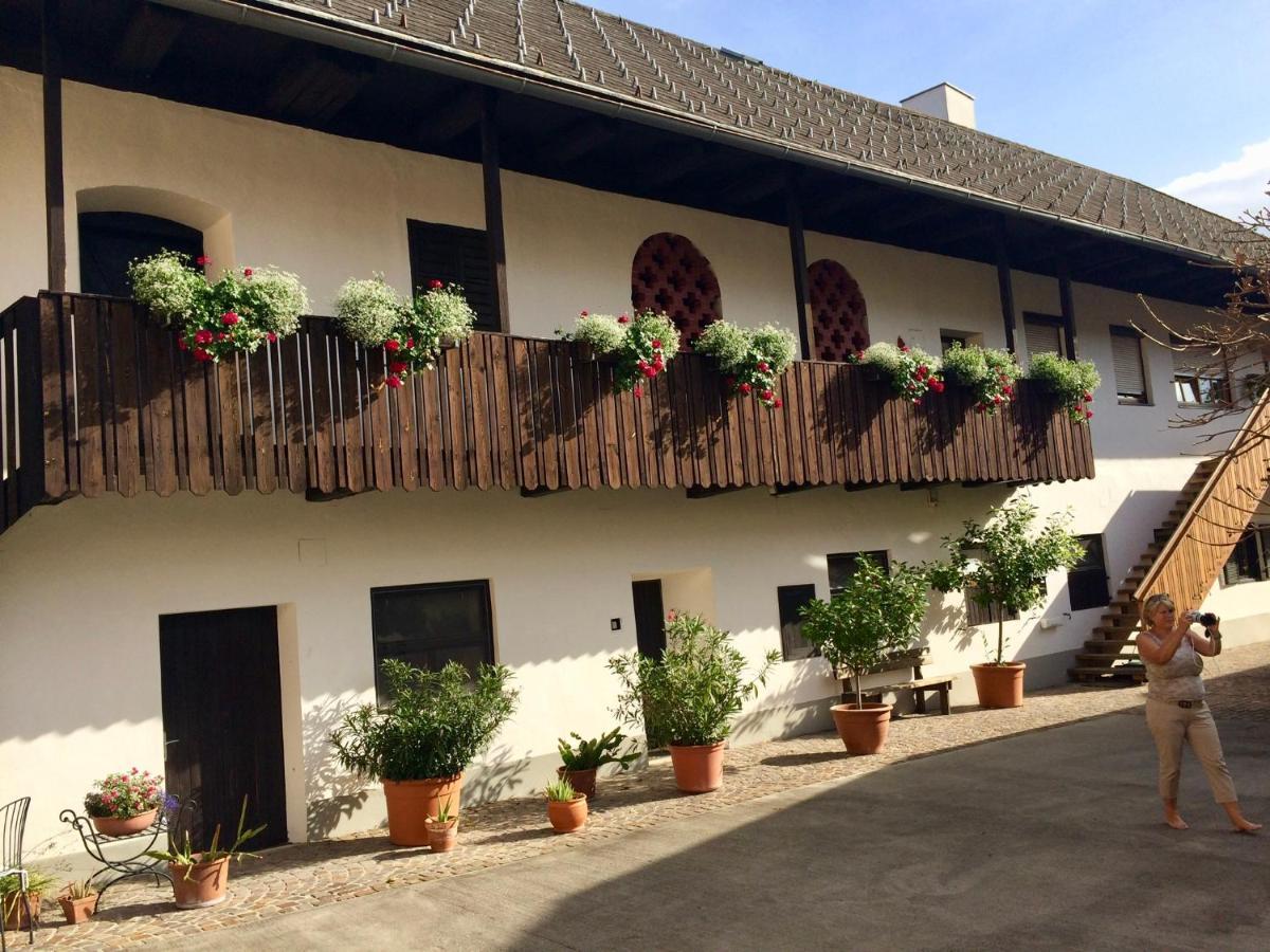 VIII Panorama-Ferienwohnung Petzenblick Smihel nad Pliberkom Eksteriør bilde